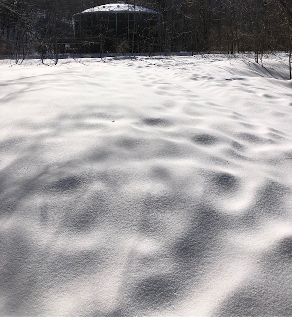 A Gathering of Lights